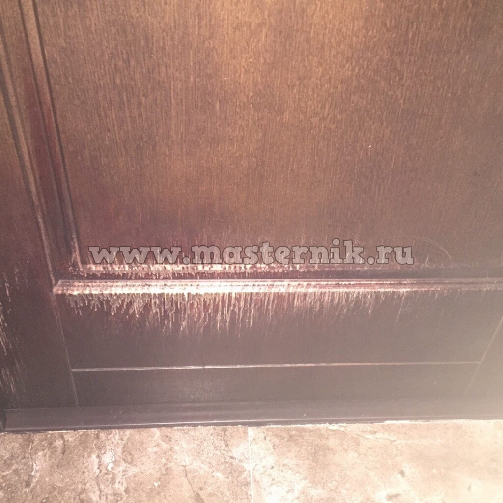 Реставрация двери после питомца